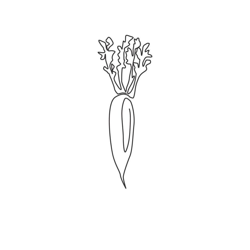 un dibujo de una sola línea de rábano blanco orgánico sano y completo para la identidad del logotipo de la granja. concepto de daikon japonés fresco para icono vegetal. Ilustración gráfica de vector de diseño de dibujo de línea continua moderna