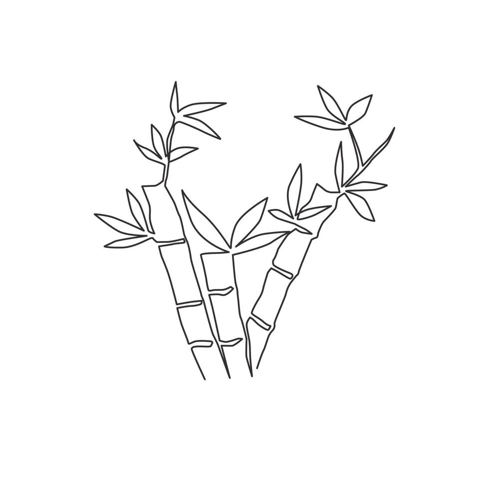 One continuous line drawing of bamboo trees for plantation logo identity. Fresh evergreen perennial flowering plant concept for plant icon. Modern single line draw design graphic vector illustration