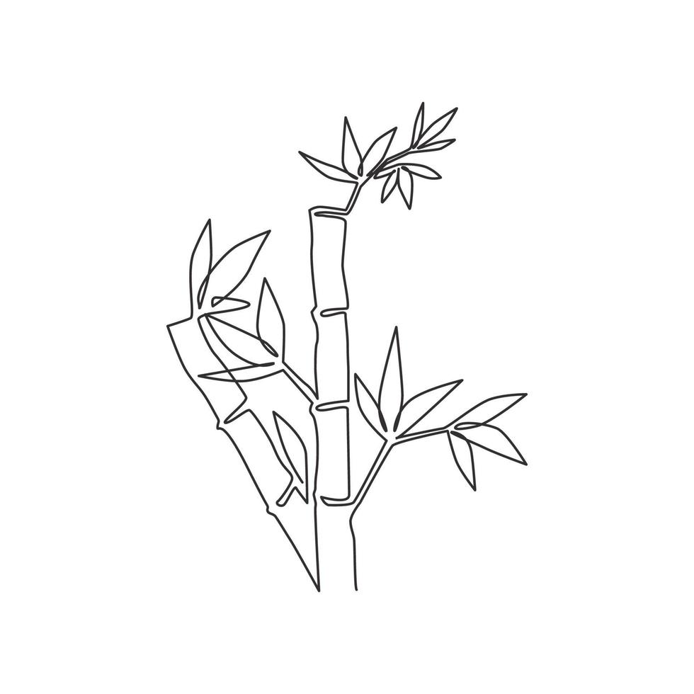 Single continuous line drawing of bamboo trees for plantation logo identity. Fresh evergreen perennial flowering plant concept for plant icon. Modern one line draw graphic design vector illustration