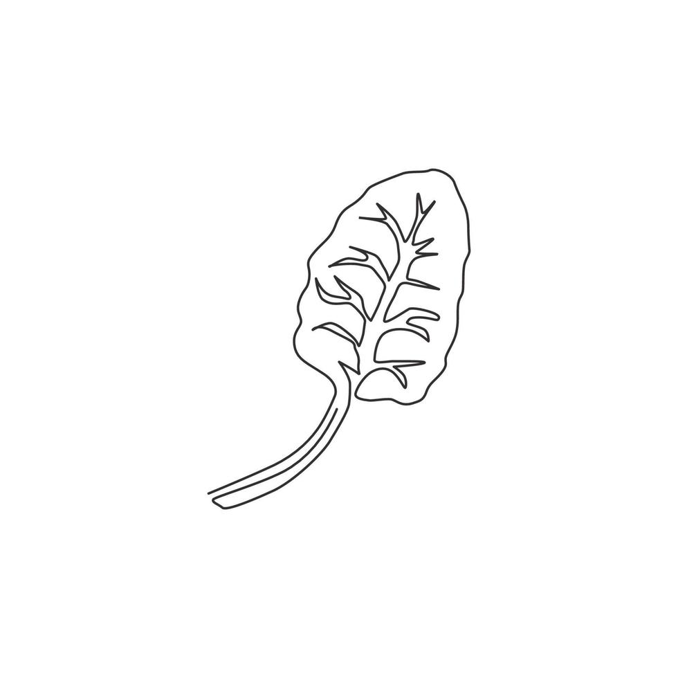 Single continuous line drawing of whole healthy organic swiss chard for farming logo identity. Fresh green leafy concept for vegetable icon. Modern one line draw design vector graphic illustration