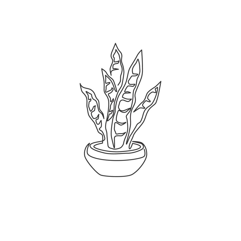 Un dibujo de línea continua de una planta de serpiente en maceta para la identidad del logotipo de decoración del hogar. concepto de planta perenne de hoja perenne fresca para icono de planta. Ilustración gráfica de vector de diseño de dibujo de una sola línea moderna