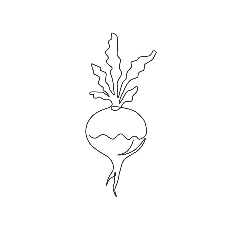 One continuous line drawing of whole healthy organic white turnip for farm logo identity. Fresh plant concept for root vegetable icon. Modern single line draw design graphic vector illustration