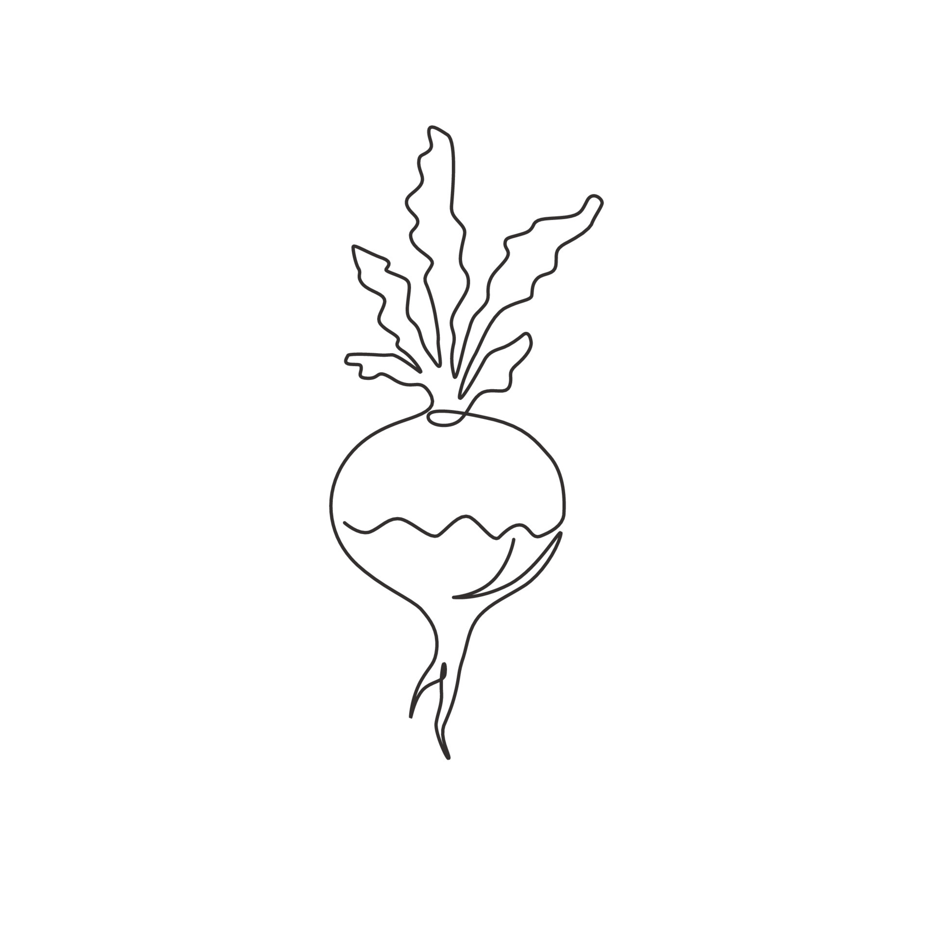 Premium Vector  Hand drawn of turnip greens on white background