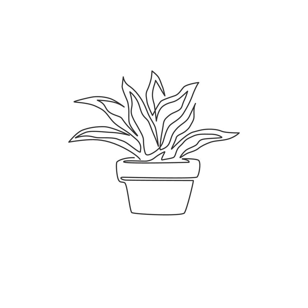 Un dibujo de una sola línea de una planta de serpiente en maceta para la identidad del logotipo de decoración del hogar. concepto de planta perenne de hoja perenne fresca para icono de planta. Ilustración gráfica de vector de diseño de dibujo de línea continua moderna