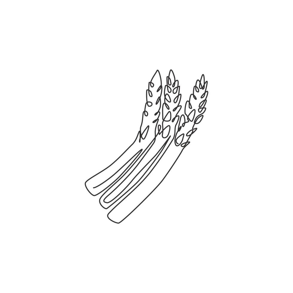 One continuous line drawing of whole healthy organic asparagus for garden logo identity. Fresh sparrow grass concept for vegetable icon. Modern single line draw design vector graphic illustration