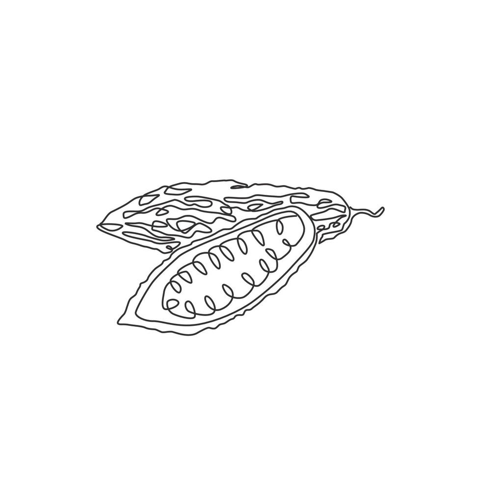 Single continuous line drawing of whole and sliced healthy organic bitter gourd for garden logo identity. Fresh Indonesian pare concept for veggie icon. Modern one line draw design vector illustration