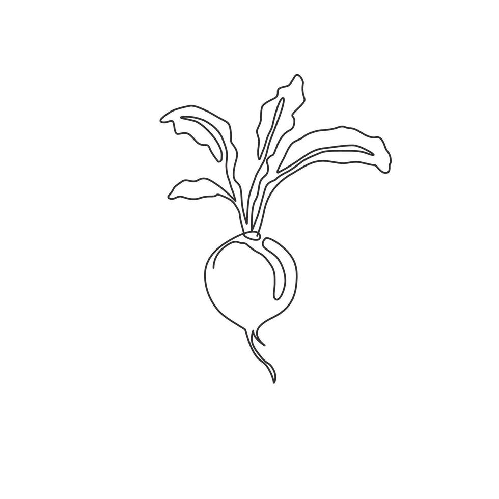 One single line drawing of whole healthy organic red radish for farm logo identity. Fresh crop concept for edible root vegetable icon. Modern continuous line draw design vector graphic illustration