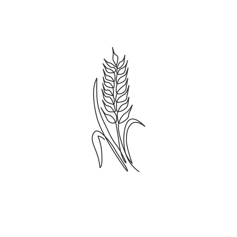 Single continuous line drawing of whole healthy organic wheat grain for farm logo identity. Fresh staple food concept for breakfast cereal icon. Modern one line graphic draw design vector illustration