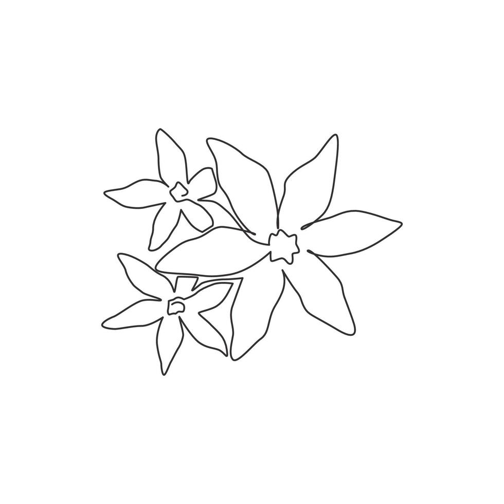 un dibujo de línea continua de la belleza de la flor de jazmín de hoja caduca fresca. Póster imprimible decorativo jasminum concept para el arte de decoración de paredes del hogar. Ilustración de vector de diseño gráfico de dibujo de una sola línea moderna