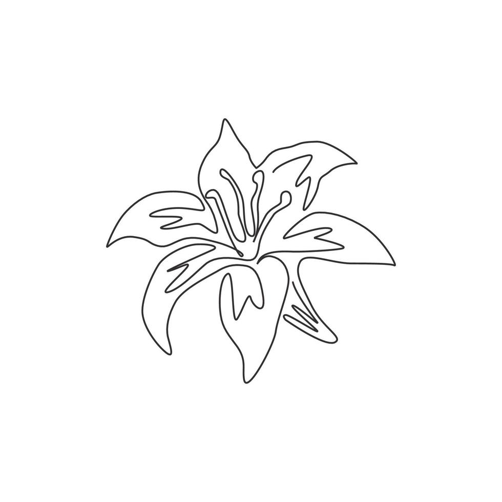 One continuous line drawing of beauty fresh perennials lilium for garden logo. Printable decorative true lilies flower for home wall decor poster. Modern single line draw design vector illustration