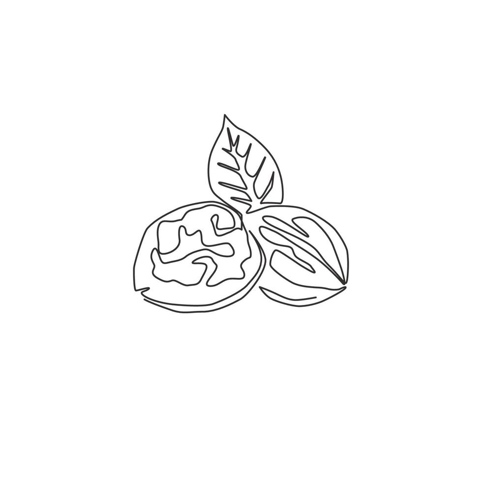 Single continuous line drawing whole healthy organic walnut and leaves for orchard logo identity. Fresh nutshell concept for healthy seed icon. Modern one line draw design vector graphic illustration