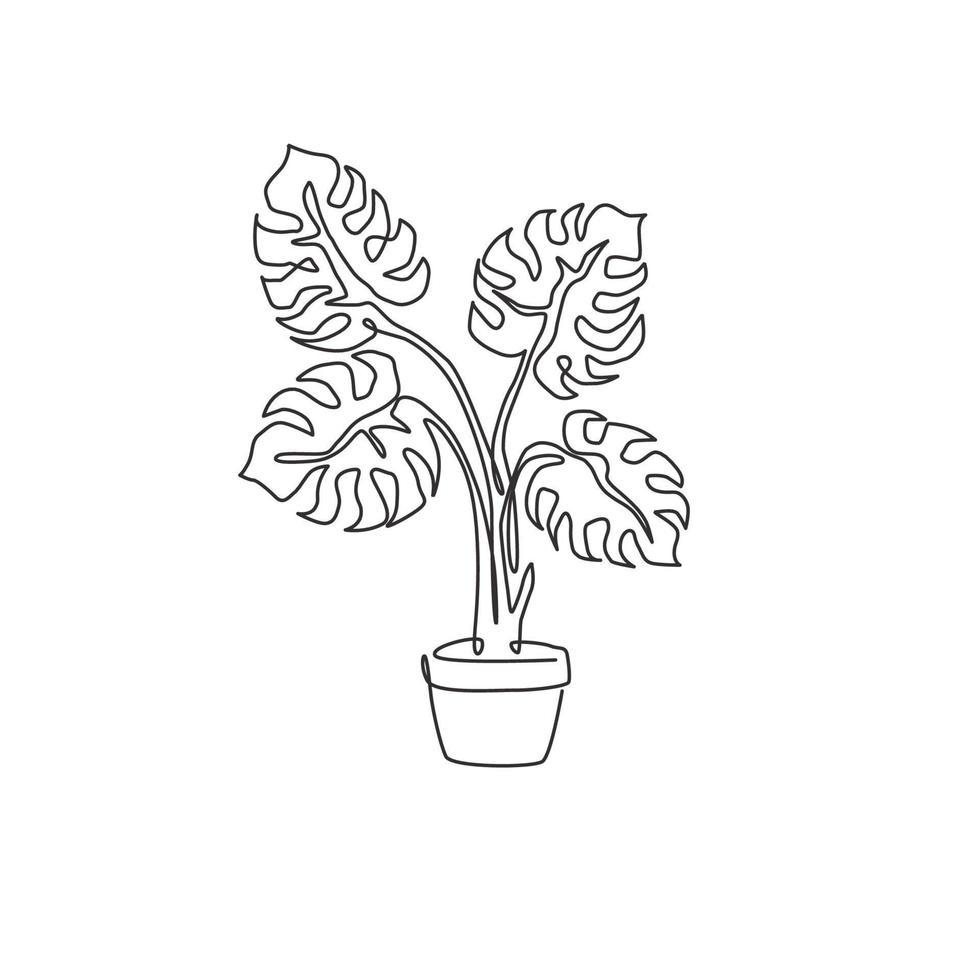 un dibujo de una sola línea linda planta de monstera de hojas tropicales en maceta. Concepto de planta de interior decorativa imprimible para adorno de decoración de pared del hogar. Ilustración de vector de diseño gráfico de dibujo de línea continua moderna