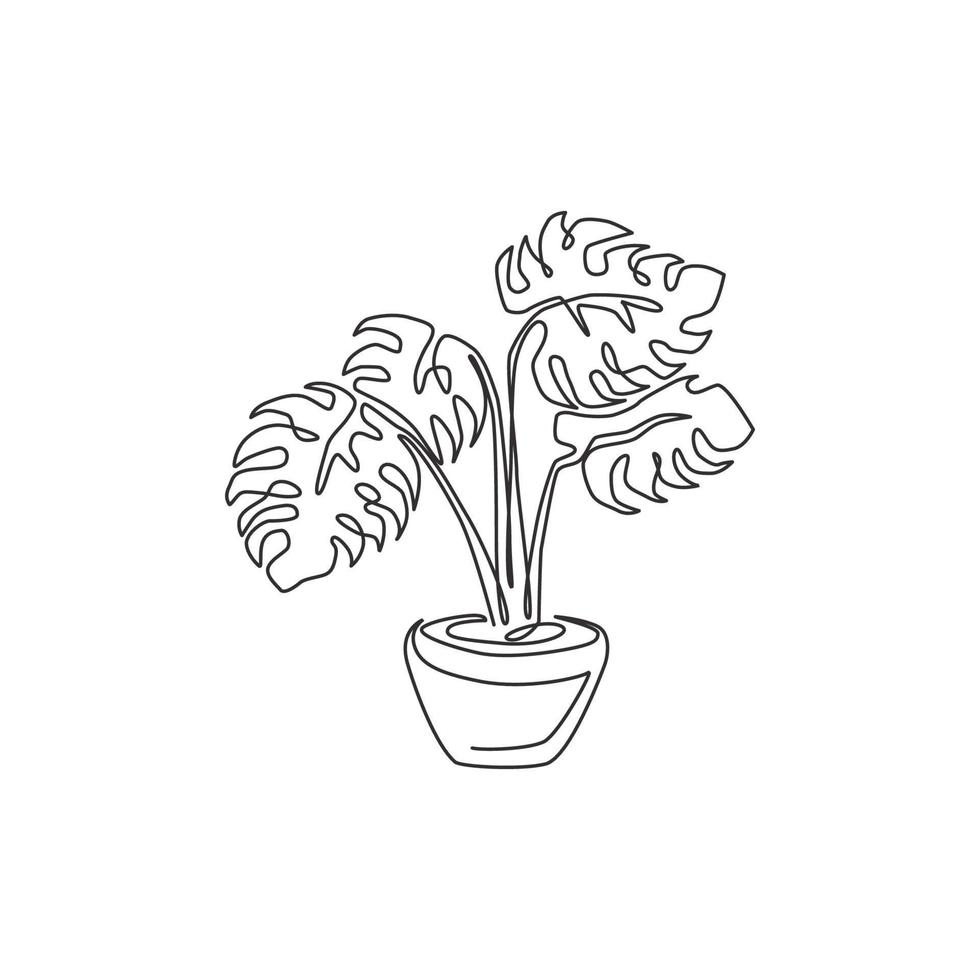 una sola línea de dibujo belleza planta monstera hoja tropical en maceta. Concepto de planta de interior decorativa imprimible para adorno de decoración de pared del hogar. Ilustración de vector de diseño de dibujo gráfico de línea continua moderna