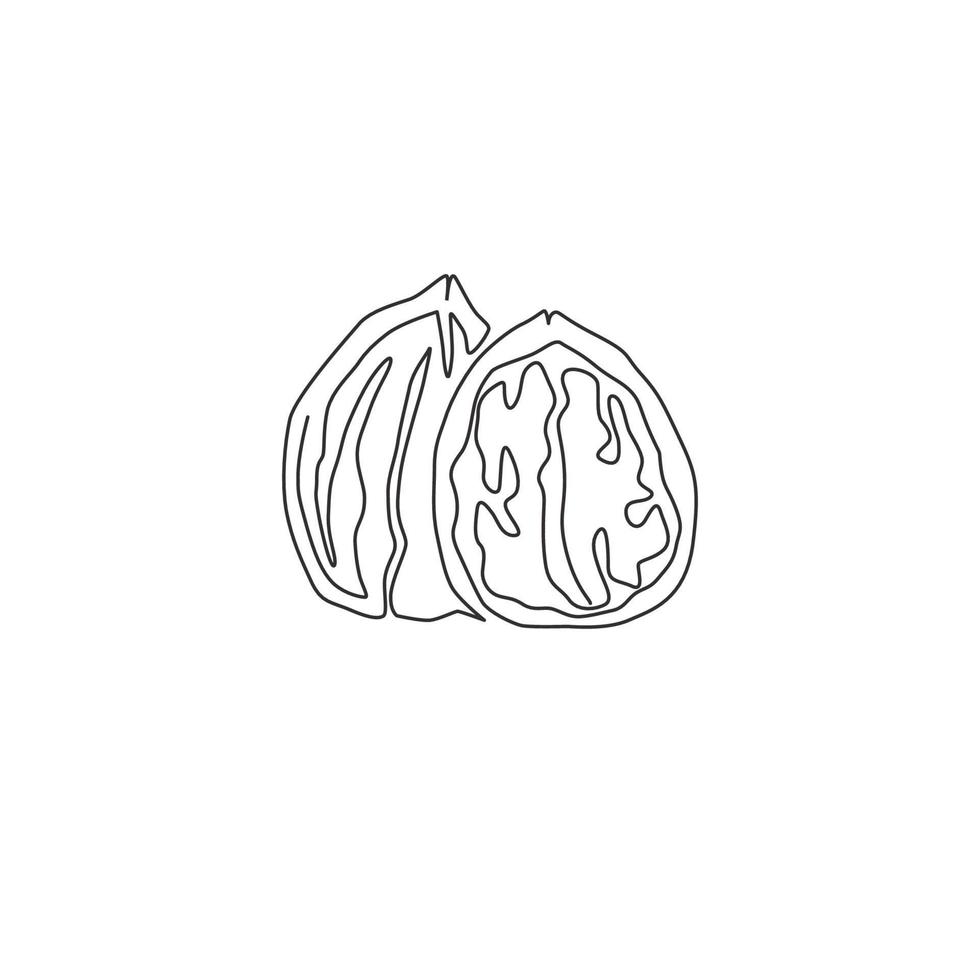 One continuous line drawing of whole healthy organic walnut food for plantation logo identity. Fresh nutshell concept for healthy seed icon. Modern single line draw design graphic vector illustration