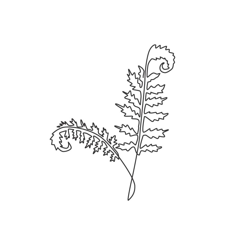 One continuous line drawing of cute tropical leaves fern plant. Printable decorative exotic houseplant concept for home wall decor ornament. Modern single line draw design graphic vector illustration