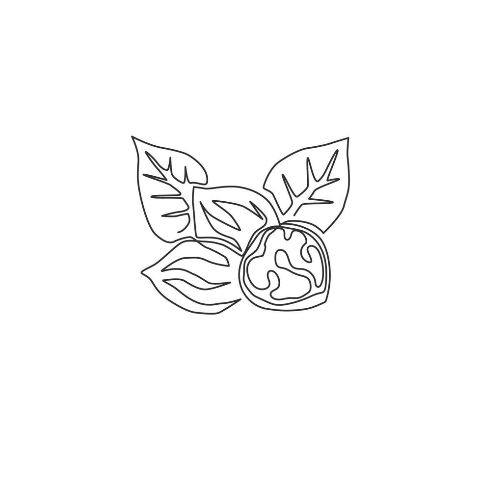 un dibujo de una sola línea de alimentos orgánicos saludables de nueces y hojas para la identidad del logotipo del huerto. concepto de cáscara de nuez fresca para el icono de semillas saludables. Ilustración de vector de diseño de dibujo de línea continua moderna