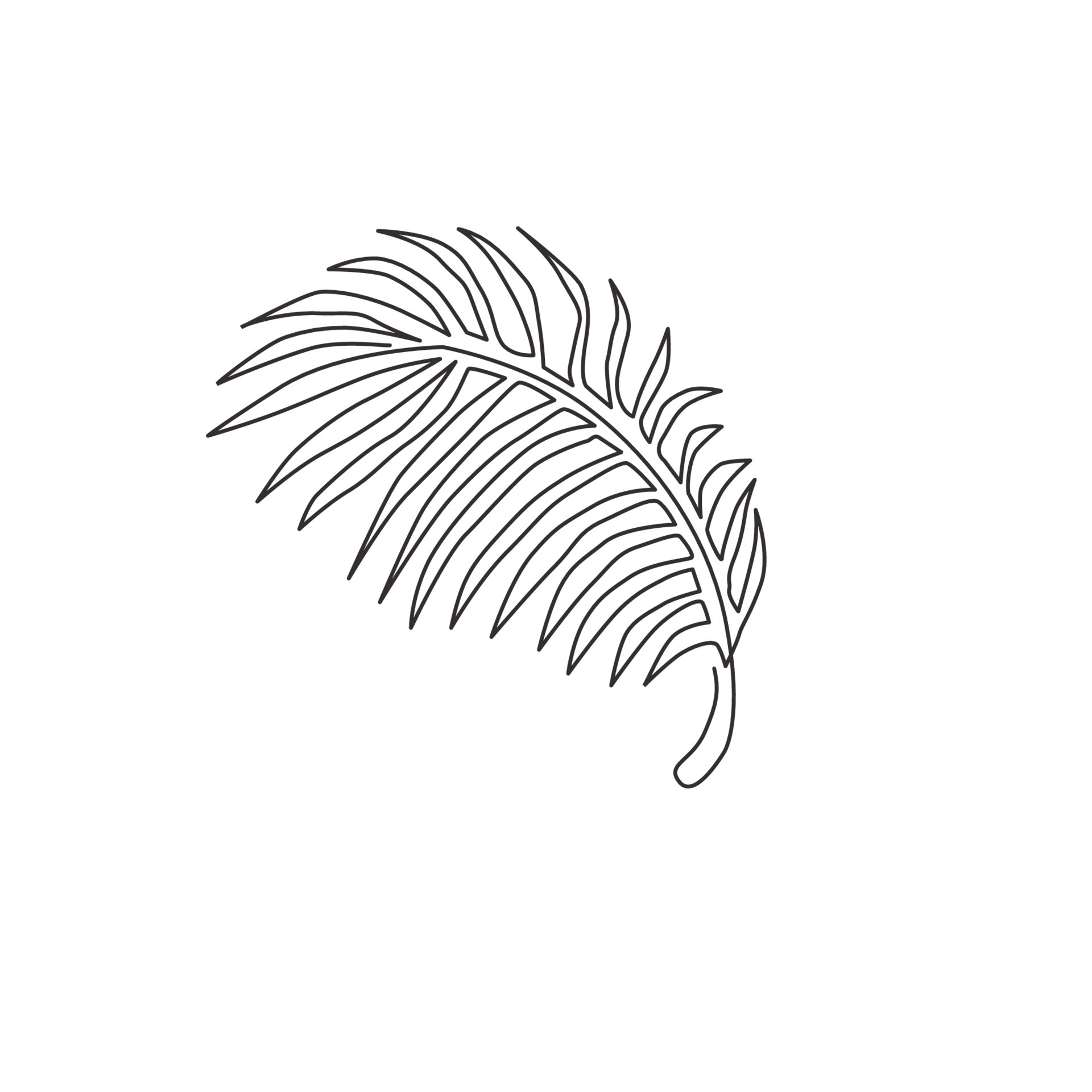 Abstract One Line Drawing Of A Tropical Leaf Minimal Art Plant Isolated On  A White Background Modern Black Illustration Romantic Drawing Of A  Continuous Line For Print Banner Postcard Holiday Ideas Vector