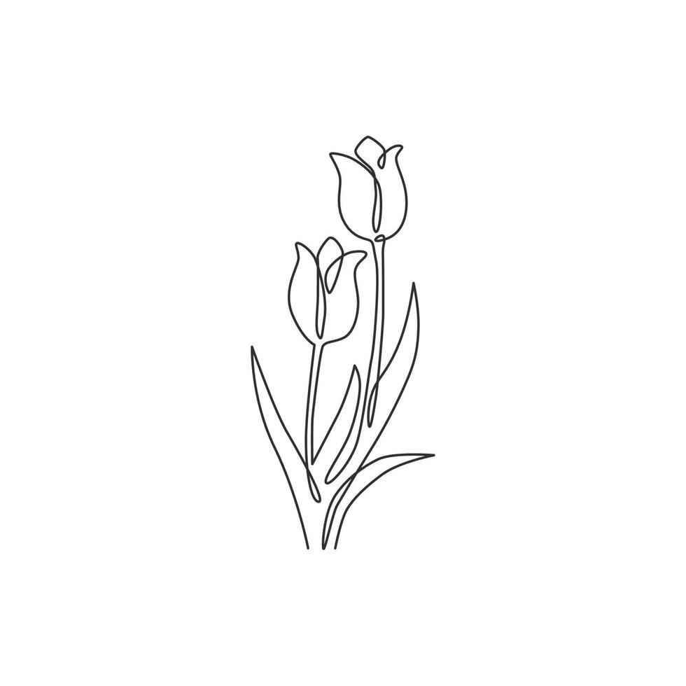 One continuous line drawing of beauty fresh tulip for logo. Printable poster decorative Netherlands nationality flower concept wall home decor art. Modern single line draw design vector illustration