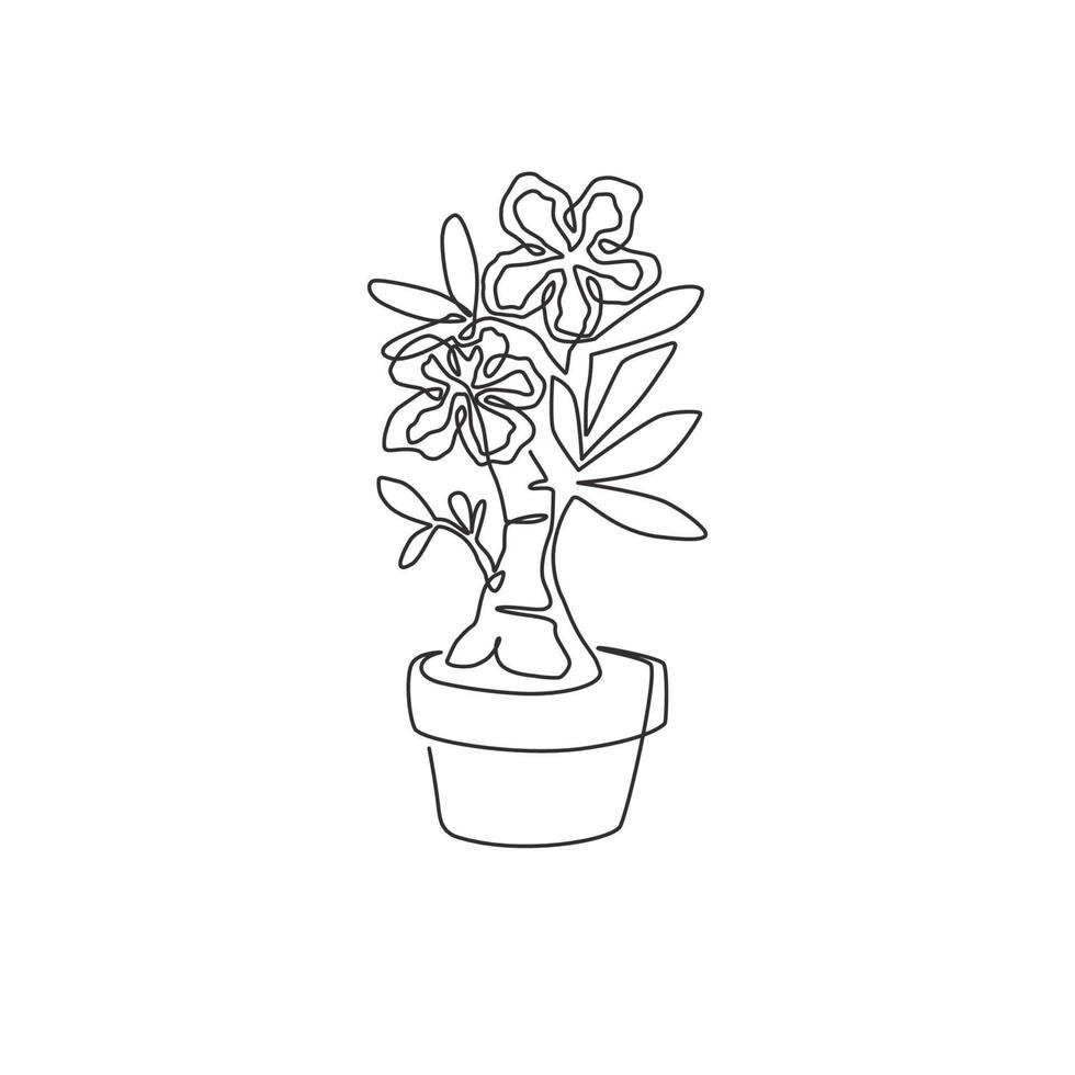 One single line drawing of fresh beauty potted adenium for garden logo. Printable poster decorative desert rose flower concept for wall home decor. Continuous line draw design vector illustration