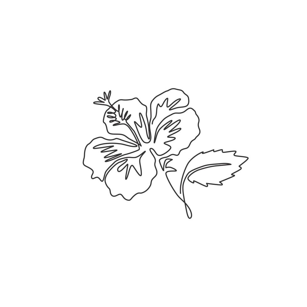 One single line drawing of beauty fresh hibiscus for garden logo. Decorative rose mallow flower concept for home wall decor poster. Modern continuous line graphic draw design vector illustration