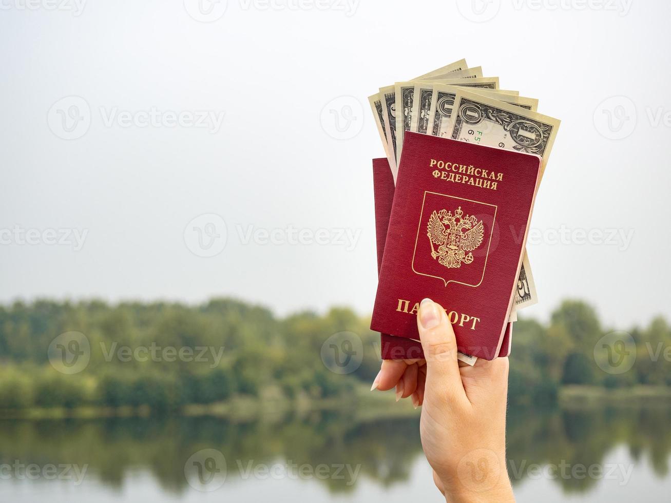 un pasaporte extranjero y dólares en la mano, en el contexto de la naturaleza. foto