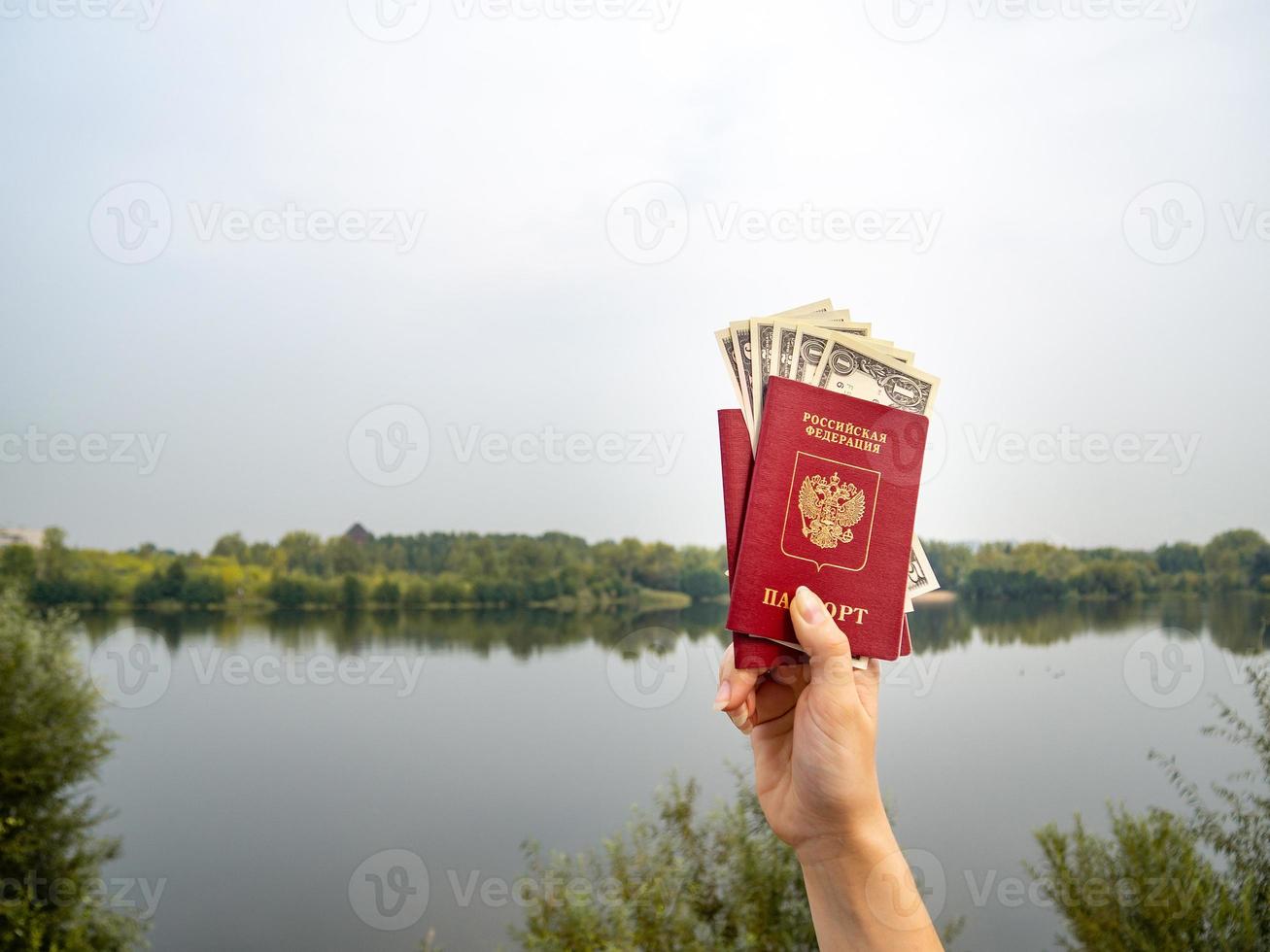 un pasaporte extranjero y dólares en la mano, en el contexto de la naturaleza. foto