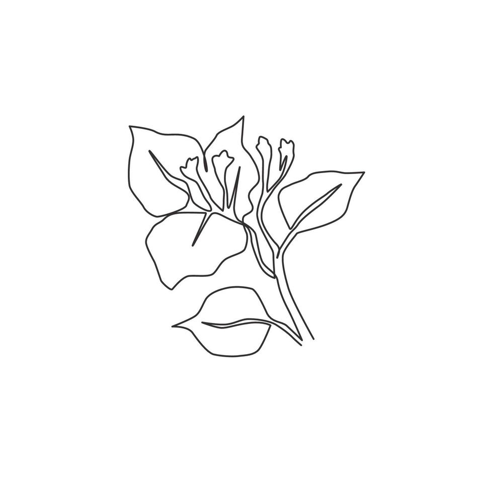 One continuous line drawing of beauty fresh bougainville for home wall decor art poster. Printable decorative thorn bush flower for wedding invitation card. Single line draw design vector illustration