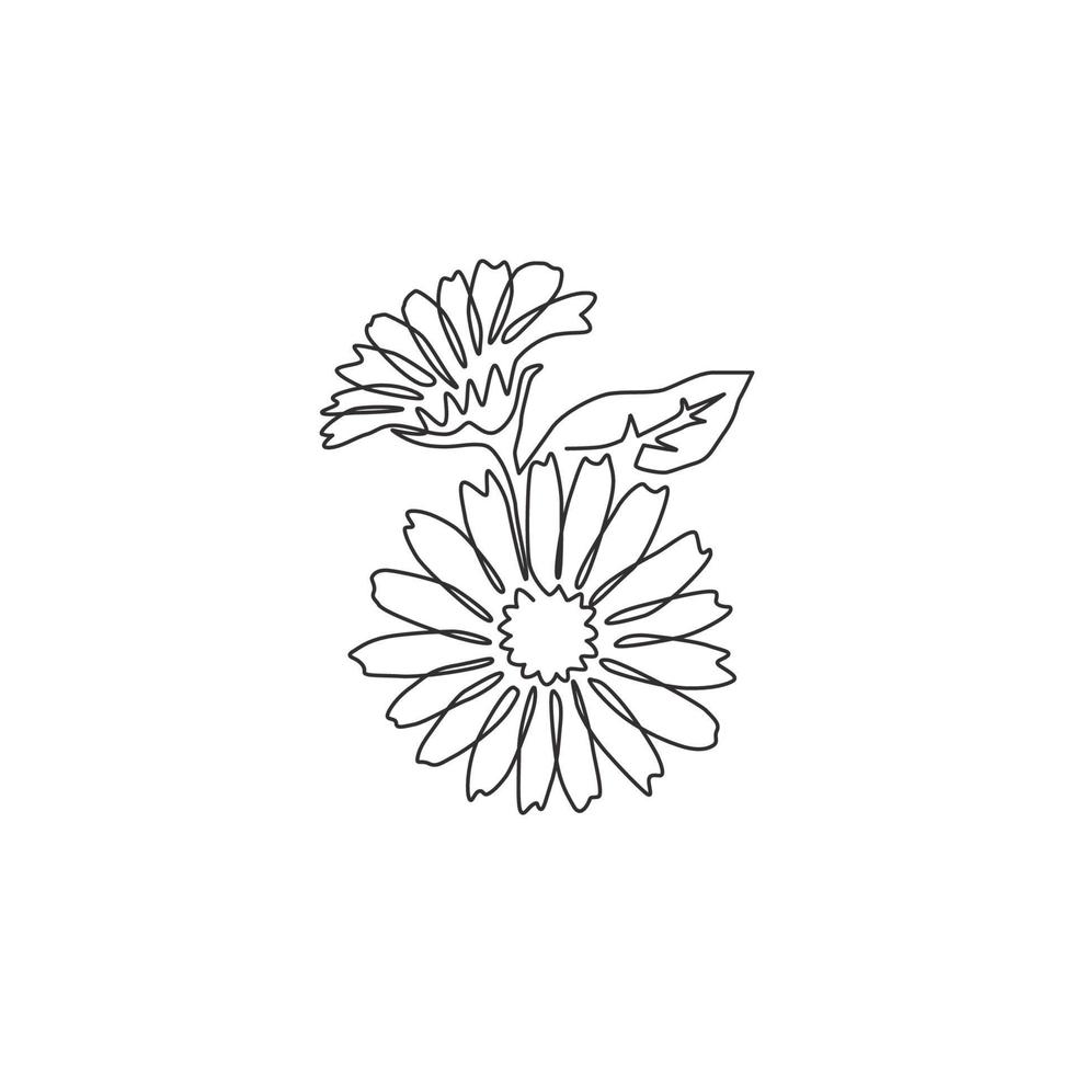 One single line drawing of beauty fresh marigold for home wall decor poster art. Printable decorative calendula flower concept for park icon. Modern continuous line draw design vector illustration