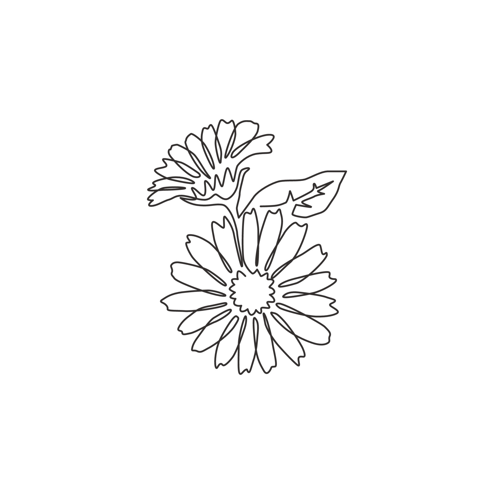 One single line drawing of beauty fresh marigold for home wall decor