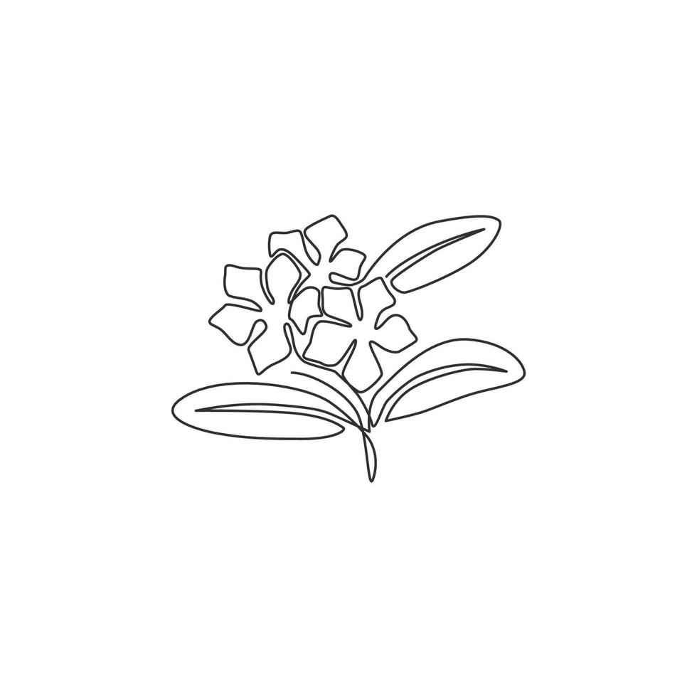 Single continuous line drawing of beauty fresh vinca for home wall art decor poster. Printable decorative periwinkle flower for greeting card ornament. Modern one line draw design vector illustration