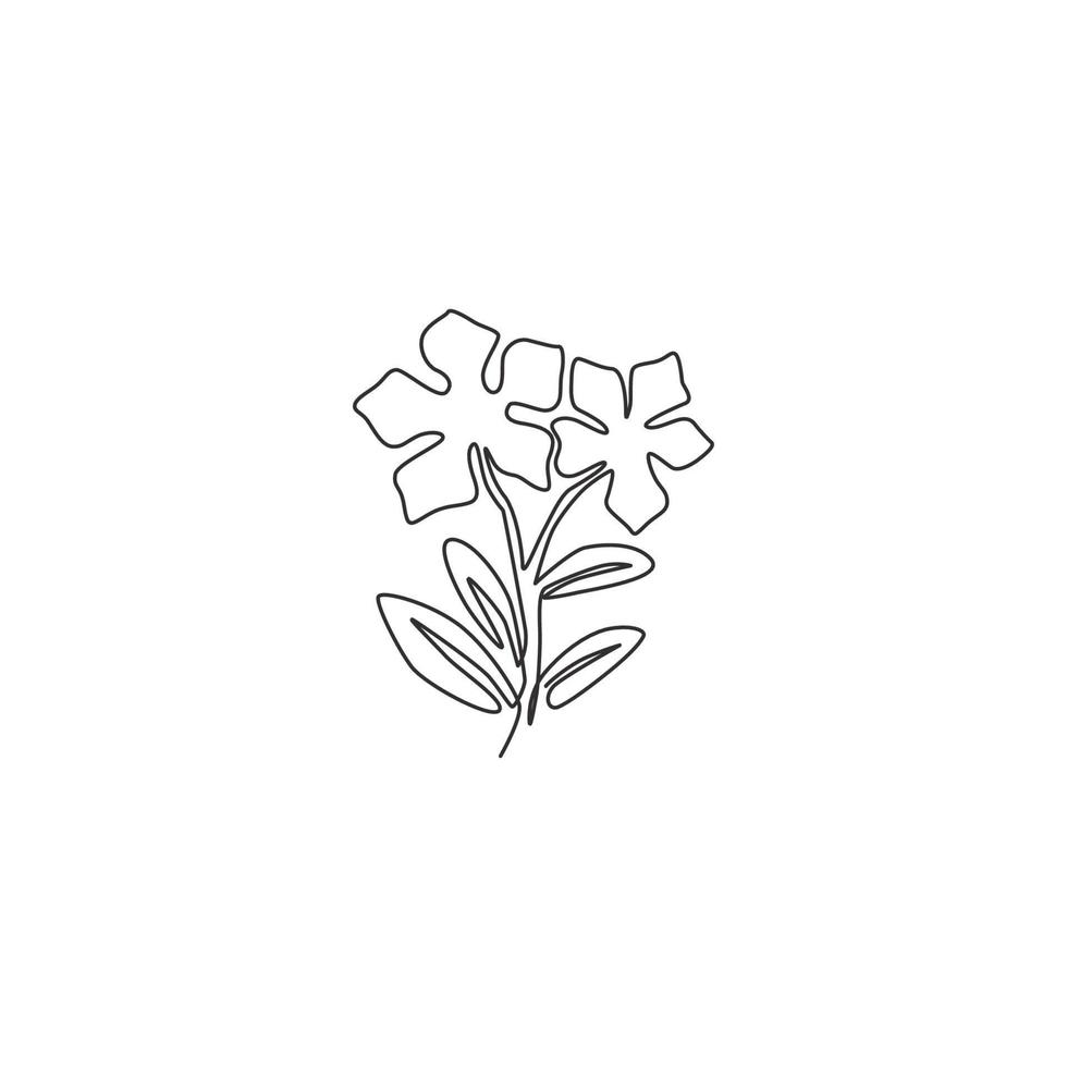 Un dibujo de línea continua Beauty Fresh Catharanthus para póster de decoración del hogar de arte de pared. concepto de flor de vincapervinca decorativa imprimible para el icono del parque. Ilustración de vector de diseño de dibujo de línea única moderna