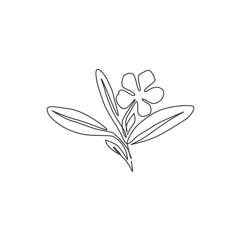 dibujo de línea continua única de bígaro fresco de belleza para el logotipo de jardín. Concepto de flor de vinca decorativa imprimible para el arte del cartel de decoración de la pared del hogar. Ilustración de vector de diseño de dibujo de una línea moderna