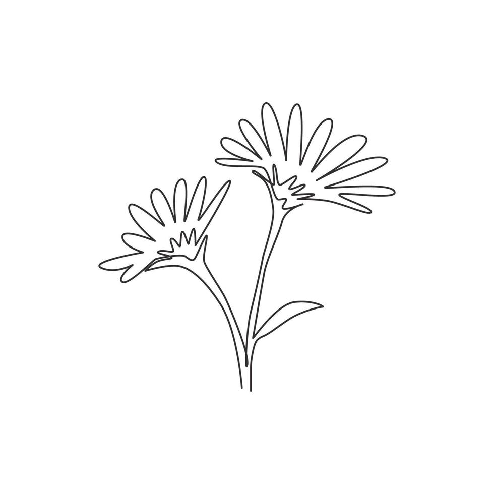 Dibujo de línea continua única de la planta perenne fresca de la belleza para el cartel del arte de la pared de la decoración del hogar. flor de aster decorativa imprimible para tarjeta de invitación de boda. Ilustración de vector de diseño de dibujo de una línea