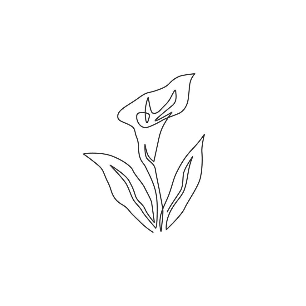 One continuous line drawing of beauty fresh arum lily for garden logo. Printable decorative zantedeschia flower concept for home wall decor poster. Modern single line draw design vector illustration