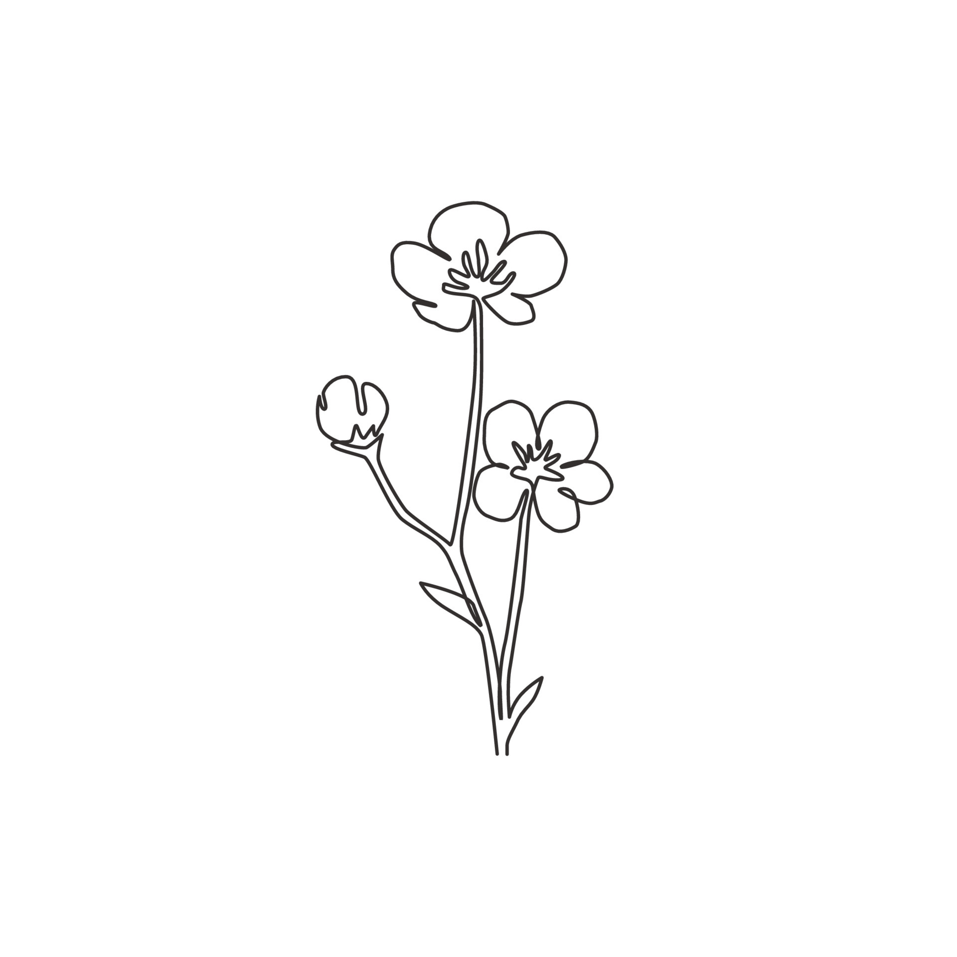 Single one line drawing of beauty fresh ranunculus for garden logo ...