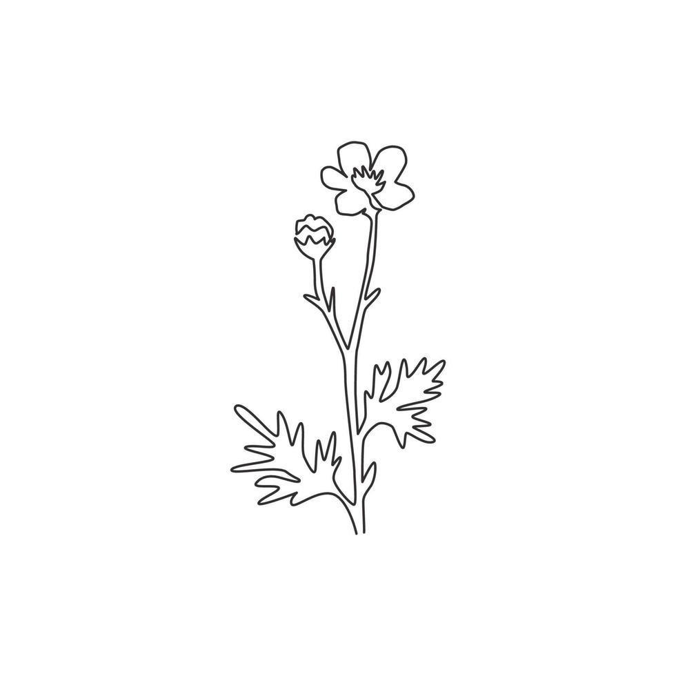 Un dibujo de línea continua Beauty Fresh Ranunculus para decoración del hogar, póster de impresión de arte de pared. Flor de ranúnculo decorativa imprimible para tarjeta de invitación de boda. Ilustración de vector de diseño de dibujo de una sola línea
