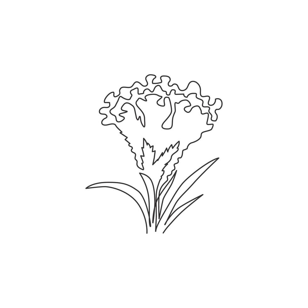 Dibujo de línea continua única Beauty Brain Celosia para decoración de arte de pared del hogar Impresión de póster. Flor de cresta de gallo decorativa imprimible para tarjeta de invitación de boda. Ilustración de vector de diseño de dibujo de una línea