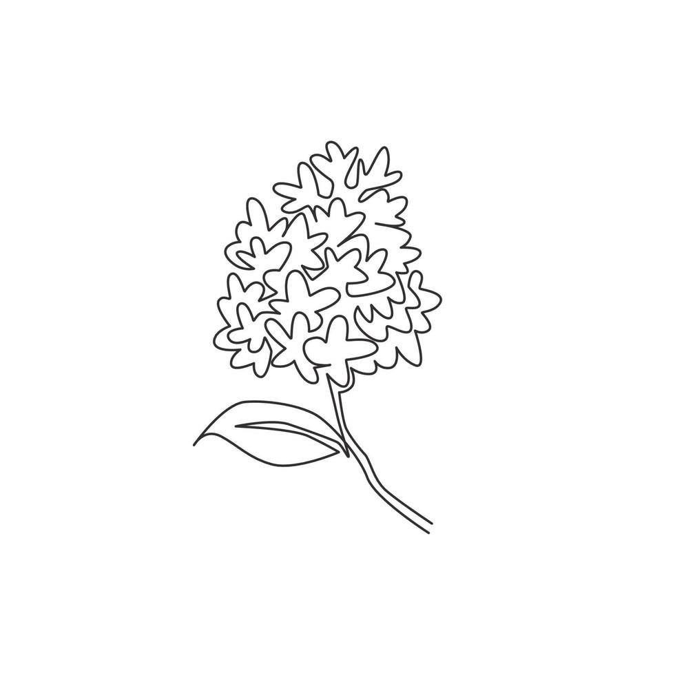 One continuous line drawing beauty fresh syringa vulgaris for garden logo. Printable decorative lilac flower concept for home decor wall art poster print. Single line draw design vector illustration