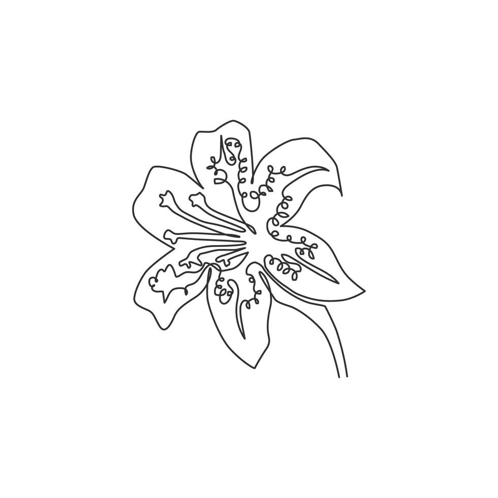 Dibujo de línea continua única Beauty Lilium Lancifolium para decoración del hogar Impresión de póster de arte de pared. Flor de lirio tigre decorativa imprimible para parque verde. Ilustración de vector de diseño de dibujo de una línea moderna