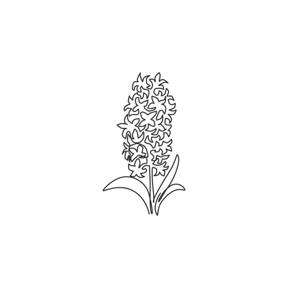 Single continuous line drawing beauty fresh hyacinthus for home decor wall art poster print. Printable decorative hyacinth flower for invitation card. Modern one line draw design vector illustration