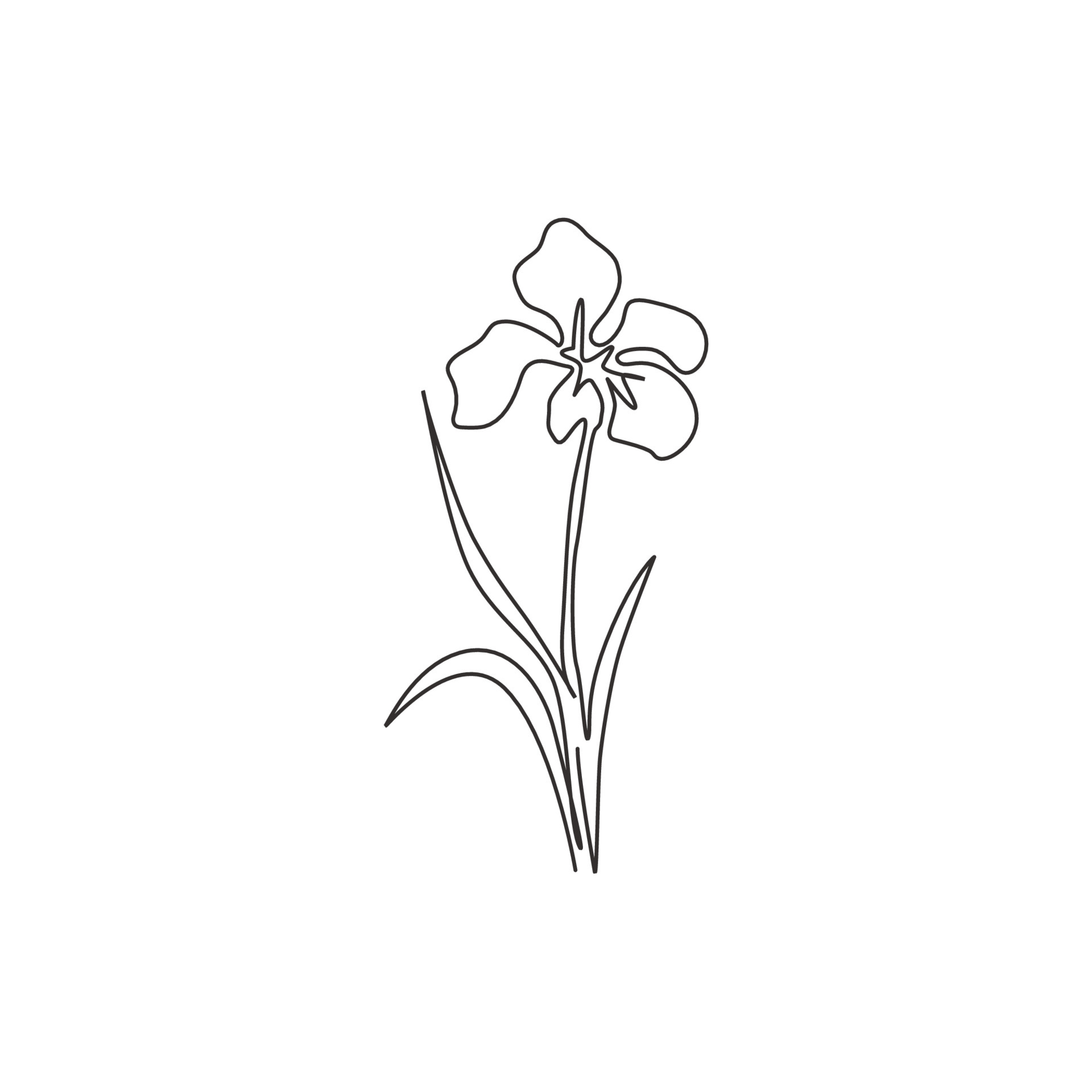 Dibujo de línea continua única Belleza Plantas perennes frescas para el arte del hogar Decoración de pared Impresión de póster. flor de iris decorativa para adorno de tarjetas de felicitación. Ilustración de Dibujo de línea continua única Belleza Plantas perennes frescas para el arte del hogar Decoración de pared Impresión de póster. flor de iris decorativa para adorno de tarjetas de felicitación. Ilustración de