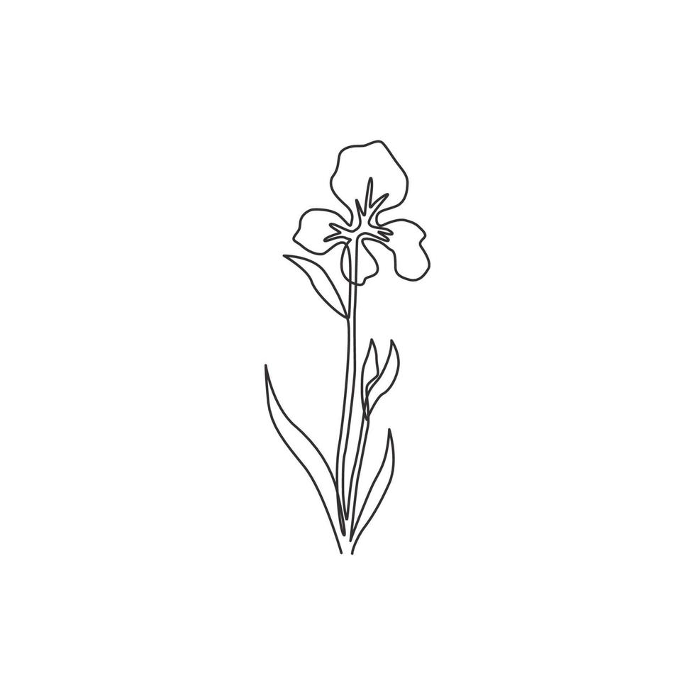 Un dibujo de línea continua Beauty Fresh Plantas perennes para decoración de paredes Impresión de carteles de arte para el hogar. concepto de flor de iris decorativa para tarjeta de invitación. Ilustración de vector de diseño de dibujo de línea única moderna