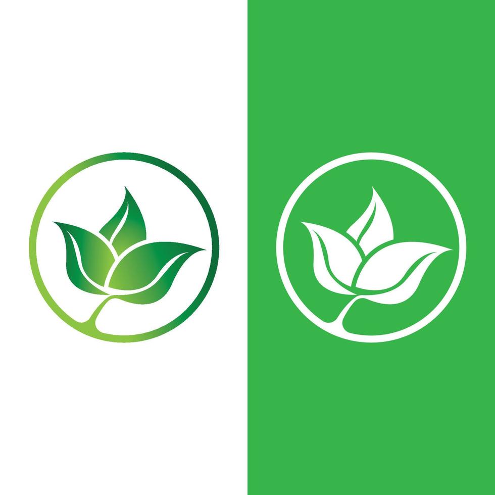 logotipos de la ecología de la hoja del árbol verde vector