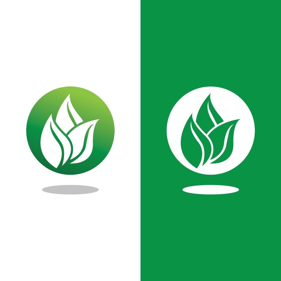 logotipos de la ecología de la hoja del árbol verde vector