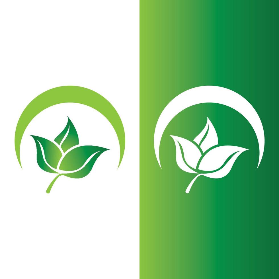 logotipos de la ecología de la hoja del árbol verde vector