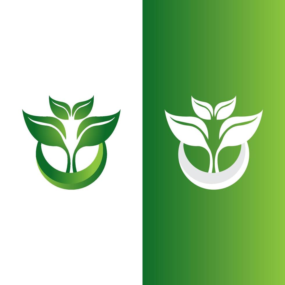 logotipos de la ecología de la hoja del árbol verde vector