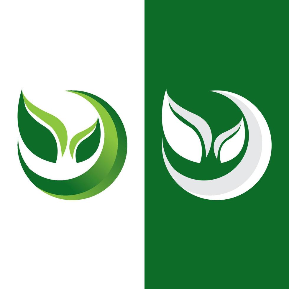 logotipos de la ecología de la hoja del árbol verde vector