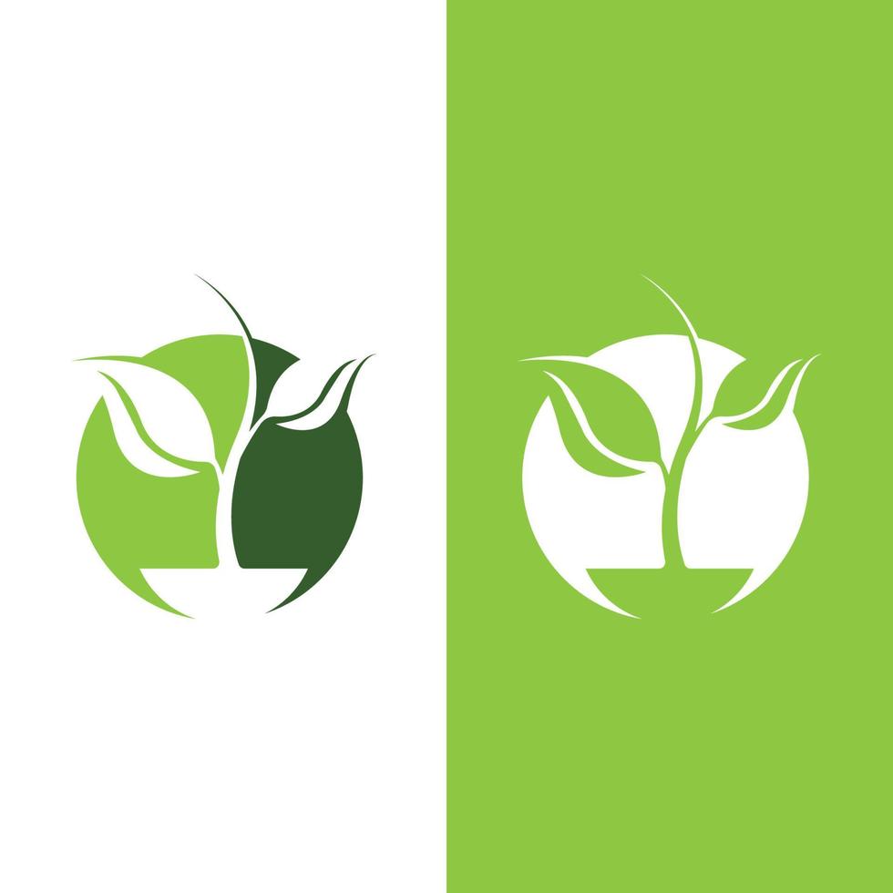 Logos of green Tree leaf ecology vector