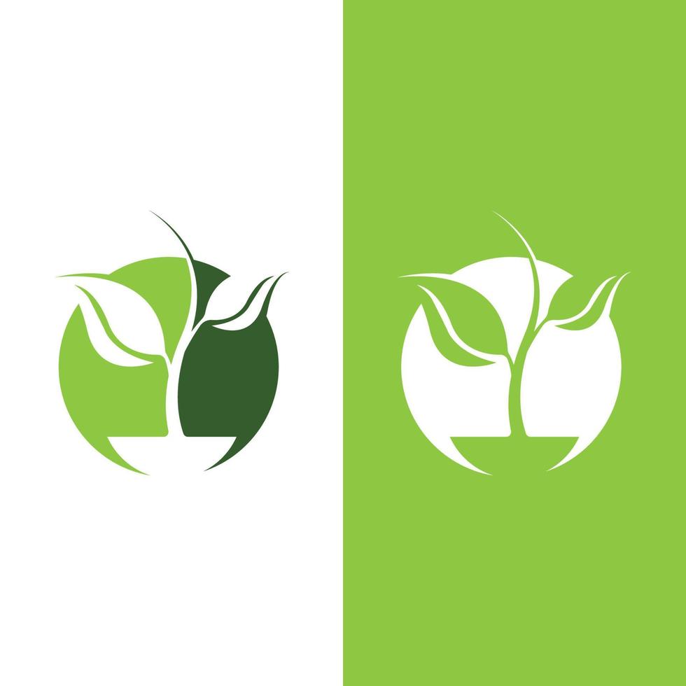 logotipos de la ecología de la hoja del árbol verde vector