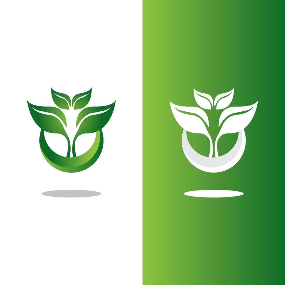 logotipos de la ecología de la hoja del árbol verde vector